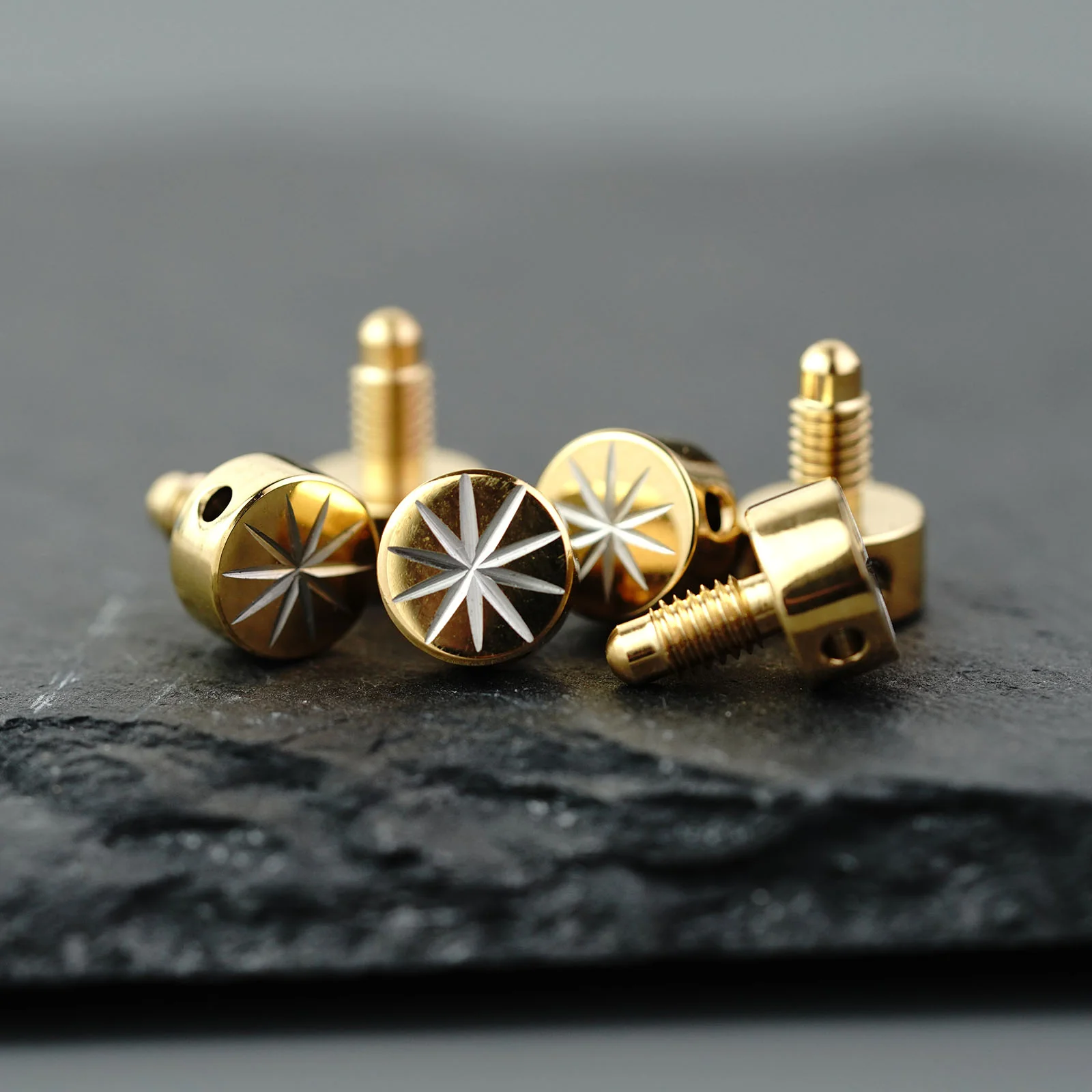 PRS-001 Guitar Tuning Machine Screw Mizi - Image 24