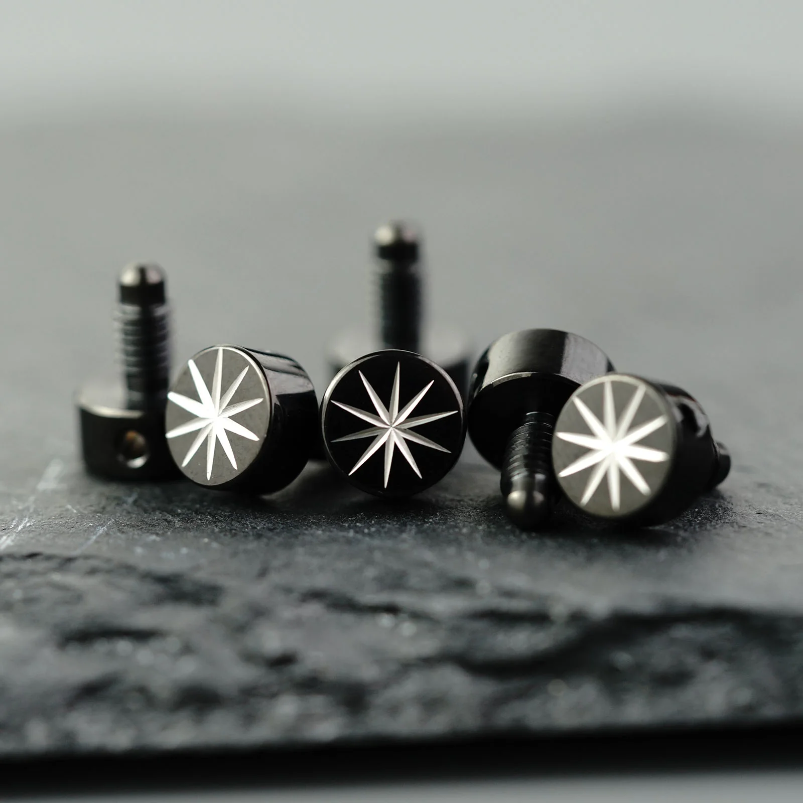 PRS-001 Guitar Tuning Machine Screw Mizi - Image 25